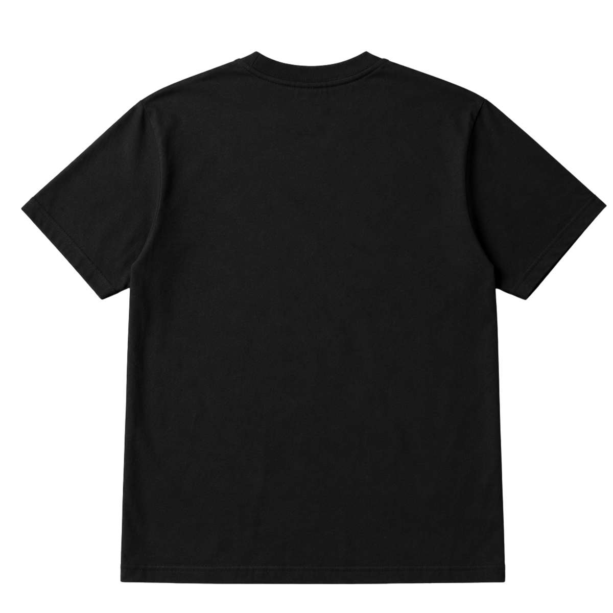 Freedom Begins Graphic Tee